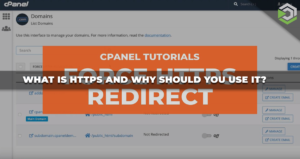 Why You Should Force HTTPS in cPanel to Enhance Website Security
